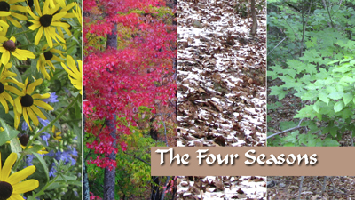 FOUR SEASONS