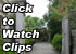 BERMUDA WALK CLIPS